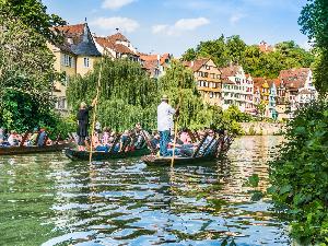 Wasser und Sprit: Gin-Tasting mit Stocherkahn-Fahrt in Tübingen