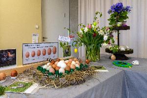 „Rund ums Ei“ in der Wilhelma Stuttgart