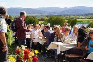 „SummerWine“ auf dem Rebberg