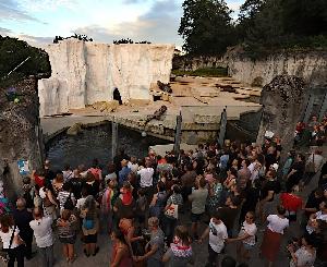 Karlsruher Nacht-Zoo lädt zu besonderen Sommerabenden ein