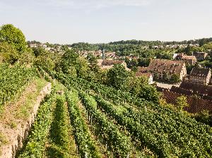Weingenuss im Welterbe – Kloster Maulbronn
